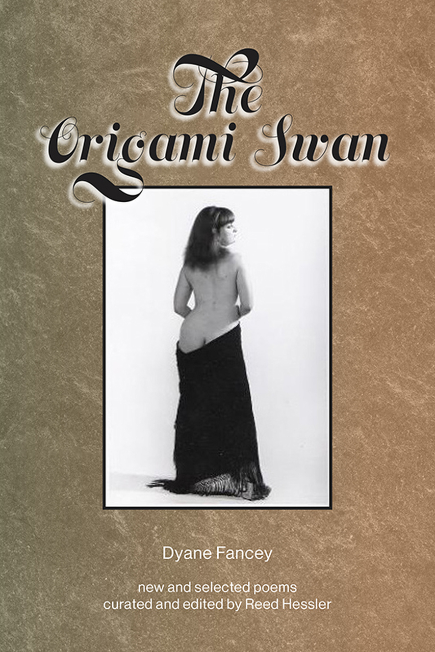 Cover for The Origami Swan: New and Selected Poems by Dyane Fancey